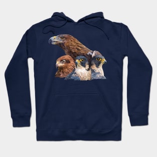 Birds of prey Hoodie